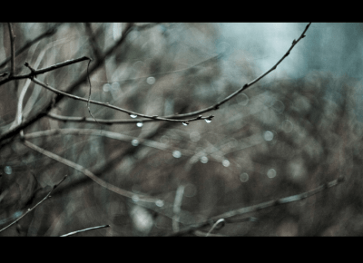 Lipcowa : Deszcze Jesienny według Leopolda Staffa