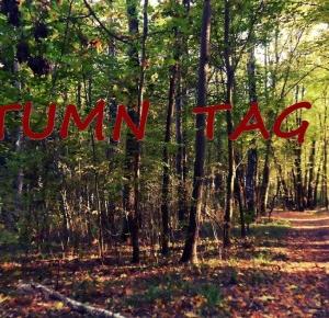 JESIENNY TAG // AUTUMN TAG