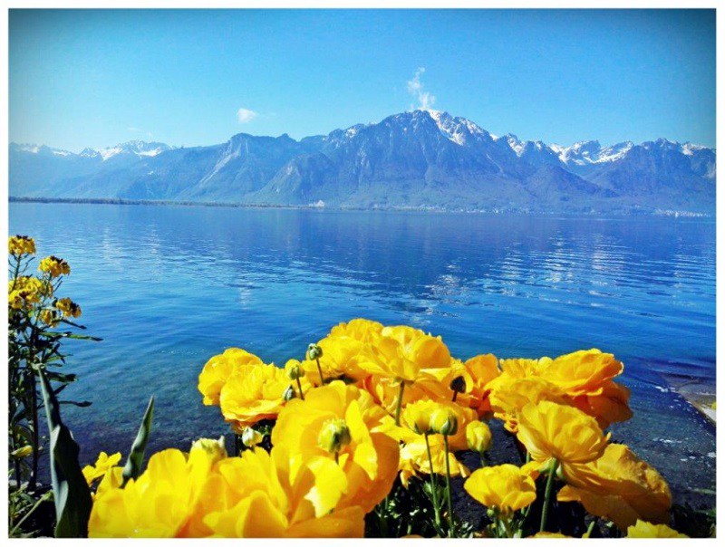 Montreux Szwajcaria | Jezioro Genewskie | Alpy | Zamek w Chillon