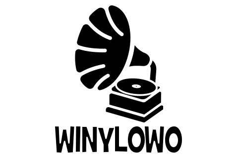 Winylowo #5: A w sumie dlaczego płyty winylowe?! » MyśliTon