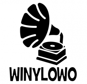 Winylowo #5: A w sumie dlaczego płyty winylowe?! » MyśliTon