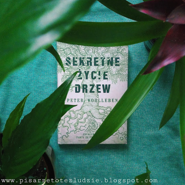 Pisarze to też ludzie: „Sekretne życie drzew” – Peter Wohlleben