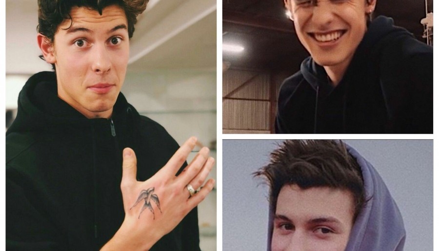 Shawn Mendes-tego o nim nie wiecie !