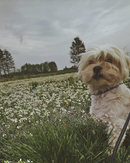 NIEPRZEWIDYWALNA: Przyjaciółka ❤️