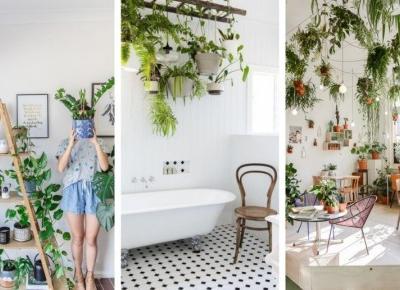 PLANTS INSPIRATIONS