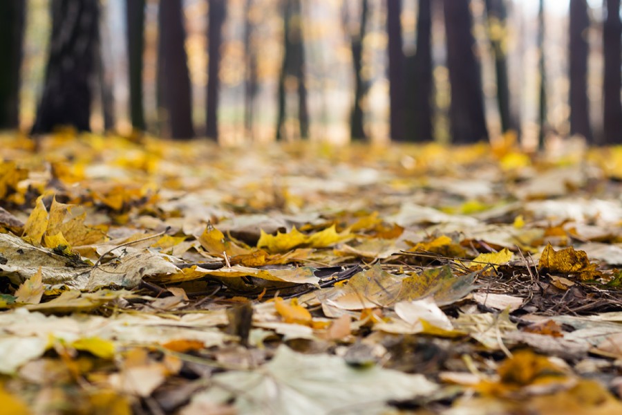 5 najlepszych sposobów na udany jesienny weekend!