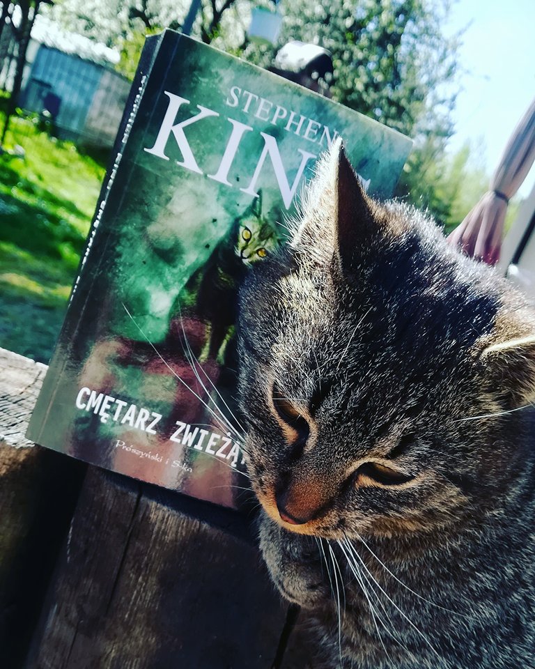 CMĘTARZ ZWIEŻĄT, Stephen King [Recenzja] – RADOSNA GRAFOMANIA