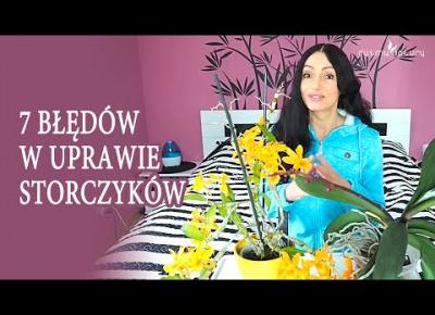 7 błędów w uprawie storczyków. Sprawdź czy je popełniasz!