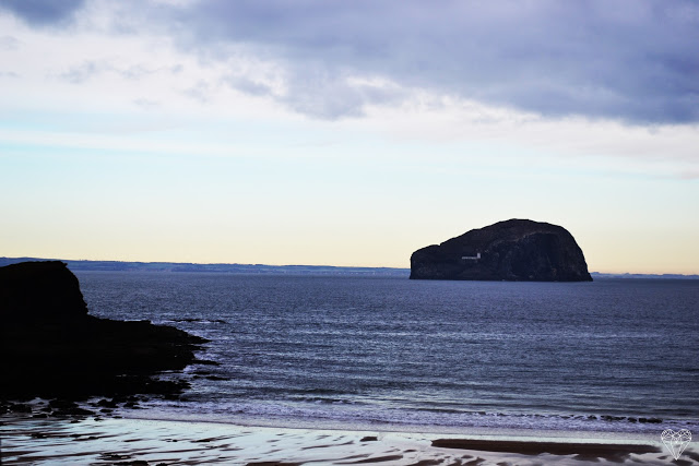 Black Camera: SEACLIFF BEACH, HARBOUR AND TANTALLON CASTLE