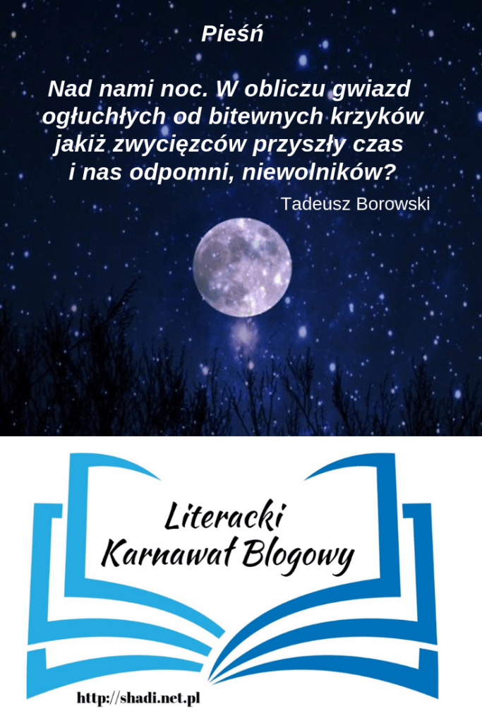 Literacki Karnawał Blogowy: Marzec 2019 - Shadi