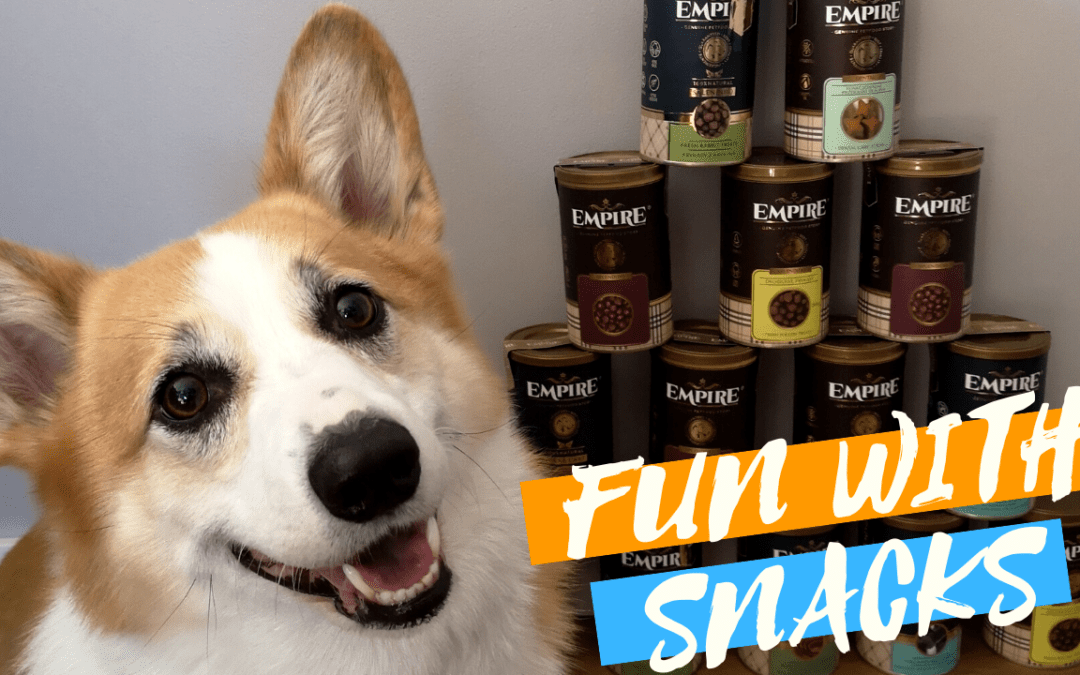 Fun with snacks – przysmaki i suplementy dla psów od Empire — Blog bez ogonka