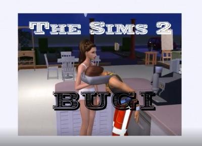 The Sims 2: Błędy i bugi