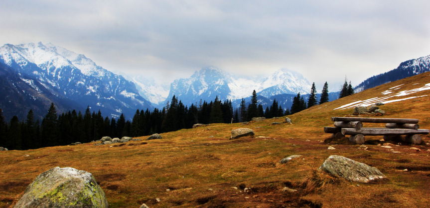 Rusinowa Polana – miejsce z majestatycznym widokiem na Tatry – Słodkim Szlakiem