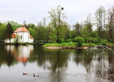 Kilka słów o Zamościu, czyli o niezwykłych kamienicach, fortyfikacjach, ulewie i najpiękniejszym ratuszu – Słodkim Szlakiem