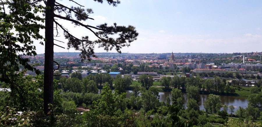 Praga - miasto bez nudy.