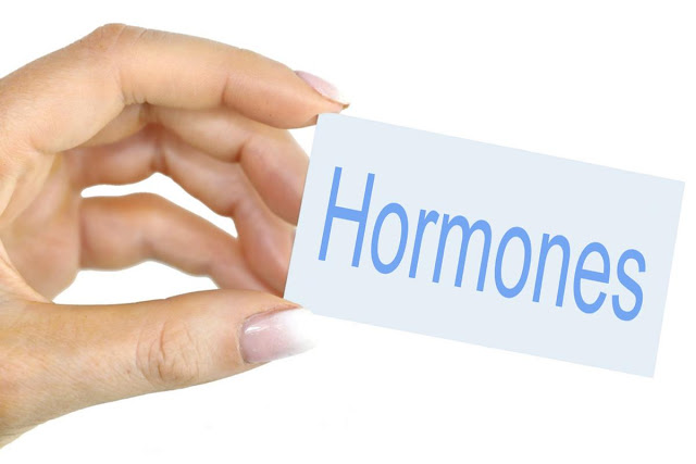 Hormony, które spalają tłuszcz | Diety i ich sekrety