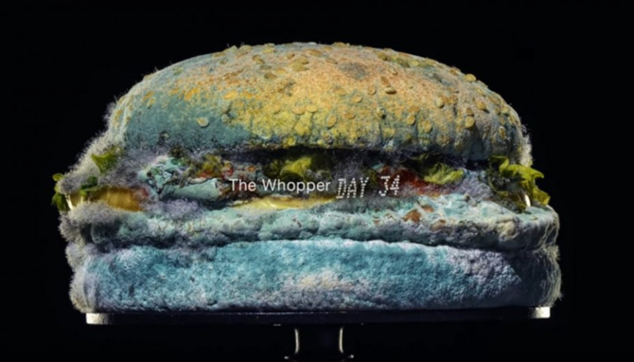 Burger King pokazał w reklamie spleśniałego Whoopera. Akcja okazała się strzałem w dziesiątkę!