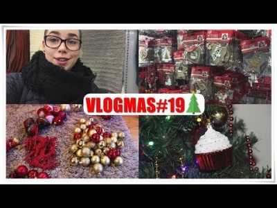 POMAGAM ZWIERZAKOM ZE SCHRONISKA VLOGMAS#19