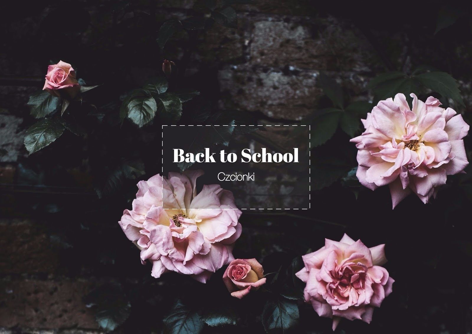 Back to School | Czcionki