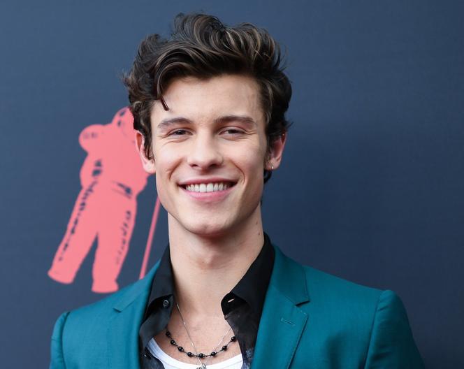 Shawn Mendes założył własną fundację. 