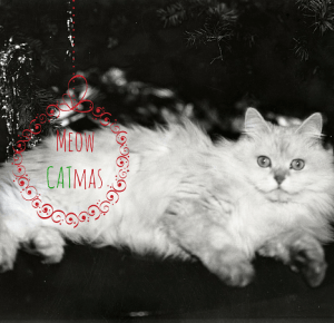 Three Cats Project: Meow CATmas