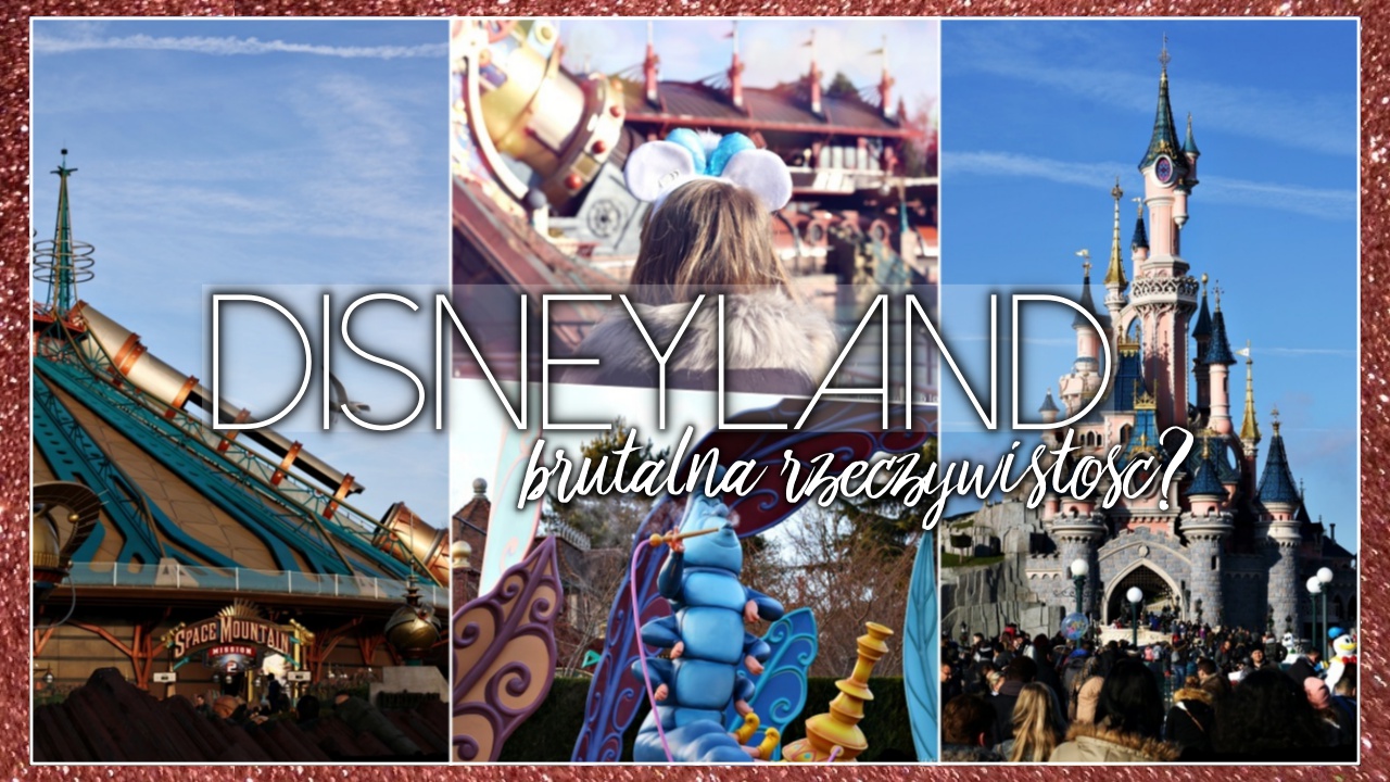 LEVOGUES: Disneyland-brutalna rzeczywistość?