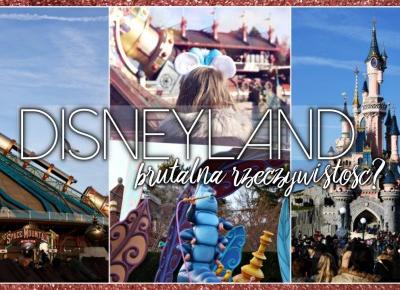 LEVOGUES: Disneyland-brutalna rzeczywistość?