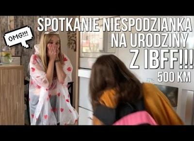 SPOTKANIE NIESPODZIANKA Z IBFF! | VLOG