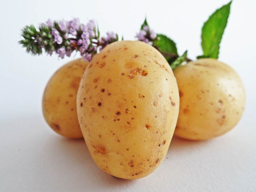 Ukochany ziemniak i jak z nim postępować aby nie chorować! - Rytmy Natury