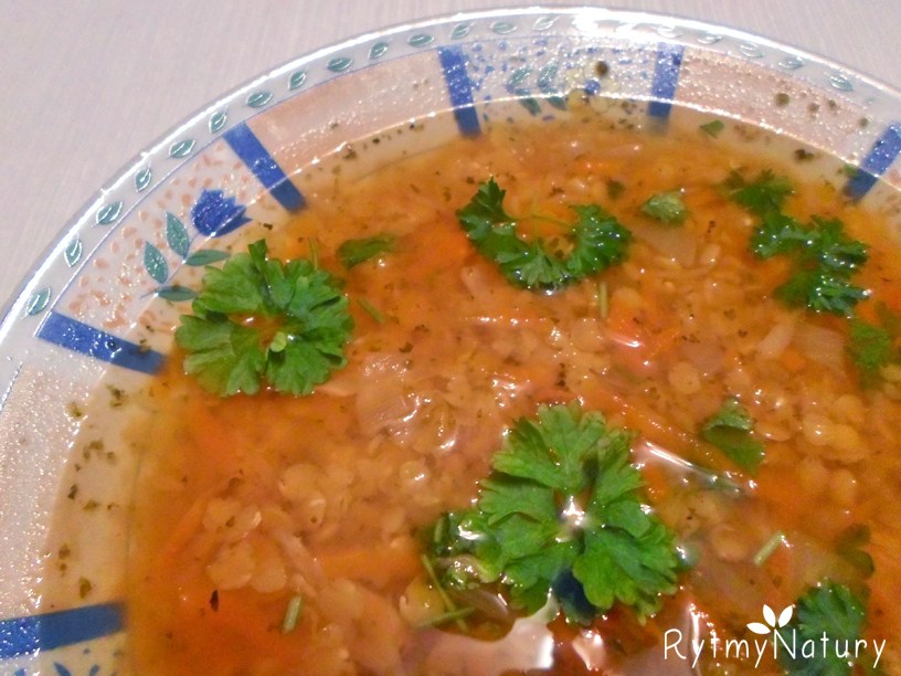 Zupa z soczewicy - przepis na prosty i smaczny białkowy posiłek - Rytmy Natury