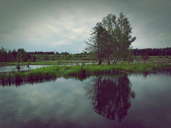 BLUE AND BELLA: Lekcyjna twórczość- wiersze