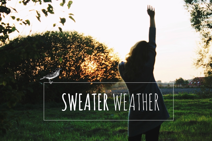 Agnieszka Czech: SWEATER WEATHER