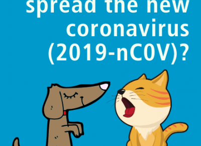 Koronawirus i koty. Fakty i mity