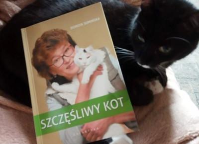 Szczęśliwy kot... czyli jaki? Podpowie Ci Dorota Sumińska!