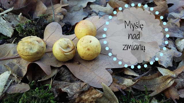 anitka-atinka.blogspot.com: Coraz częście myślę nad zmianą.                                                                        Chyba coś zmienię