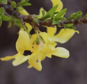 inspiracionessx: Makro #1