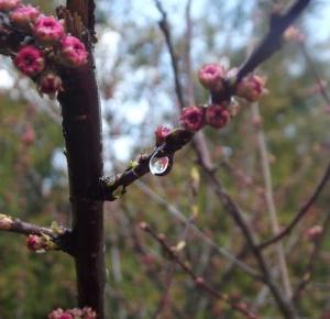 inspiracionessx: #30.03