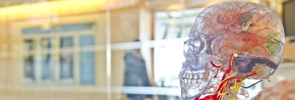 Serce czy rozum? | AnnaBoenish