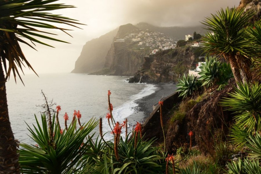 Madera - ta wyspa jest najlepszym kierunkiem wakacyjnym 2019 roku! Pokonała Kretę i Sardynię. Znamy wyniki World Travel Awards
