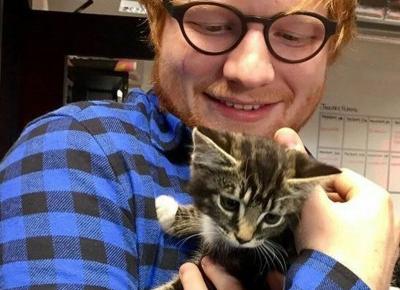 5 POWODÓW, DLA KTÓRYCH KOCHAMY EDA SHEERANA