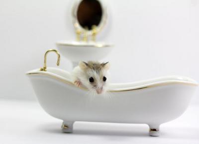 Chiny nie będą testować kosmetyków na zwierzętach! Wiemy, kiedy nowe przepisy wejdą w życie - Glamour.pl