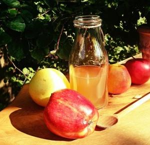 Ocet jabłkowy - właściwości i zasady  dotyczące diety