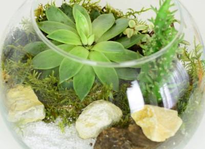 DIY: ogród w szkle - Blog bimago.pl