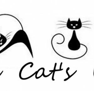 Black Cat's life.: Odwaga! Znajdź ją w sobie.