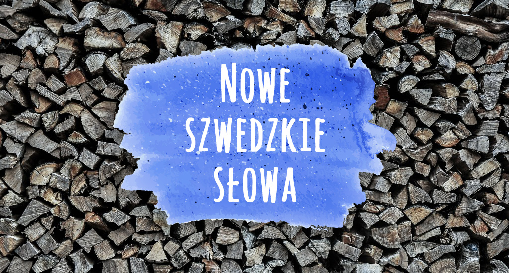 Nowe szwedzkie słowa 2015 | Blogodynka.pl