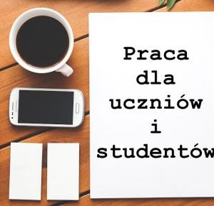 Blowerka: 10 miejsc pracy dla ucznia i studenta