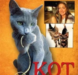 Kot dla początkujących - Beata Pawlikowska | Books My Love