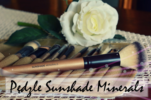 Sunshade minerals makeup brushes