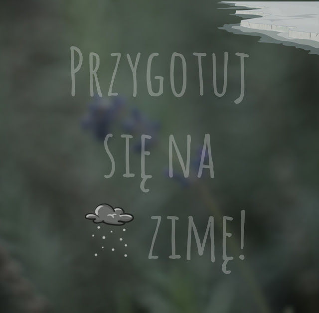 C A M I K O W E: Przygotuj się na zimę!