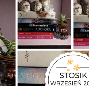 Lifestyle by Ladyflower.: Kącik czytelniczy: Stosik wrzesień 2016.